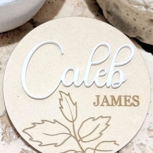 Baby Announcement Plaque4